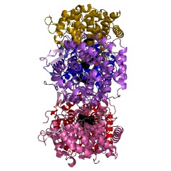 Example Structure of geraniol isomerase EC#: 5.4.4.4