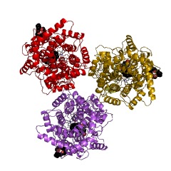 Example Structure of squalene-hopene cyclase EC#: 5.4.99.17