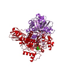 Example Structure of aspartate-tRNA ligase EC#: 6.1.1.12