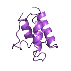 Example Structure of D-alanine-poly(phosphoribitol) ligase EC#: 6.1.1.13