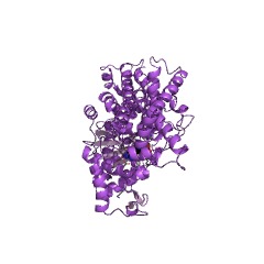 Example Structure of arginine-tRNA ligase EC#: 6.1.1.19