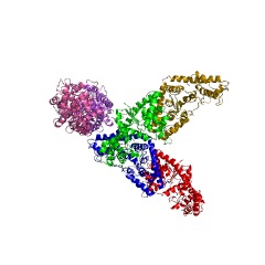 Example Structure of tryptophan-tRNA ligase EC#: 6.1.1.2