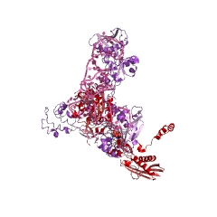 Example Structure of O-phospho-L-serine-tRNA ligase EC#: 6.1.1.27