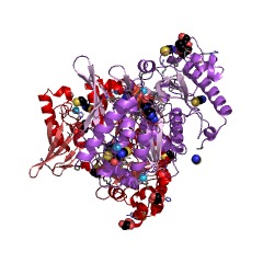 Example Structure of phenylacetate-CoA ligase EC#: 6.2.1.30