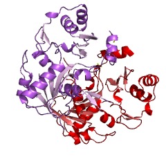 Example Structure of coenzyme F420-1:gamma-L-glutamate ligase EC#: 6.3.2.34