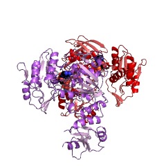 Example Structure of UDP-N-acetylmuramoyl-L-alanyl-D-glutamate-D-lysine ligase EC#: 6.3.2.37
