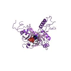 Example Structure of DNA ligase (ATP) EC#: 6.5.1.1